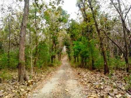 tanah kawasan area perencanaan toll demak tuban