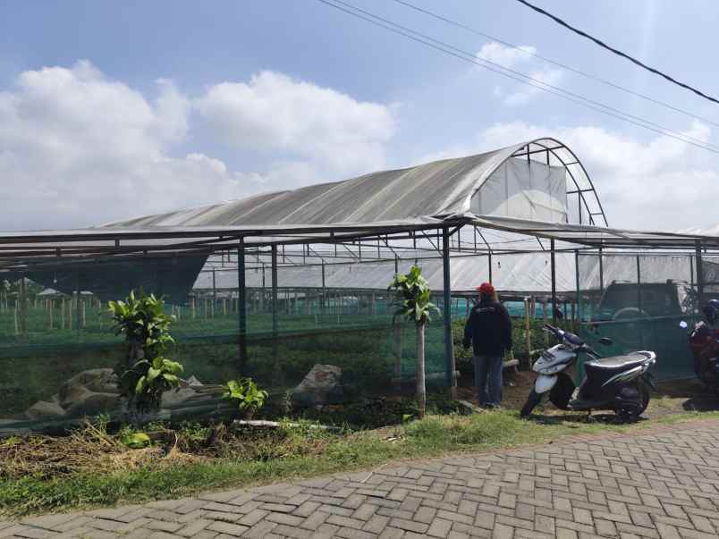 tanah kebun subur harga istimewa di bumiaji kota batu