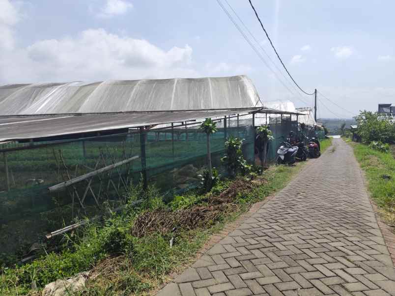 tanah kebun subur harga istimewa di bumiaji kota batu