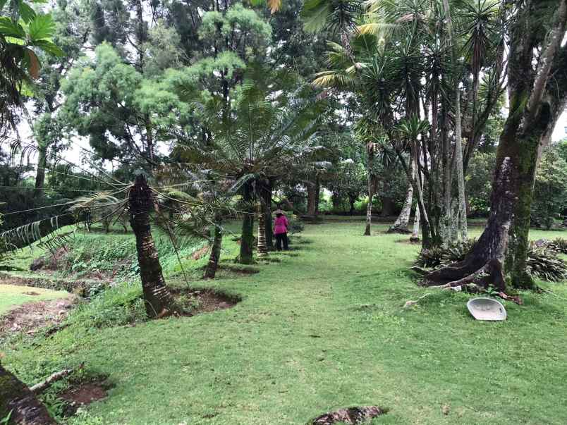 tanah komersial ex hotel di jl raya puncak bogor