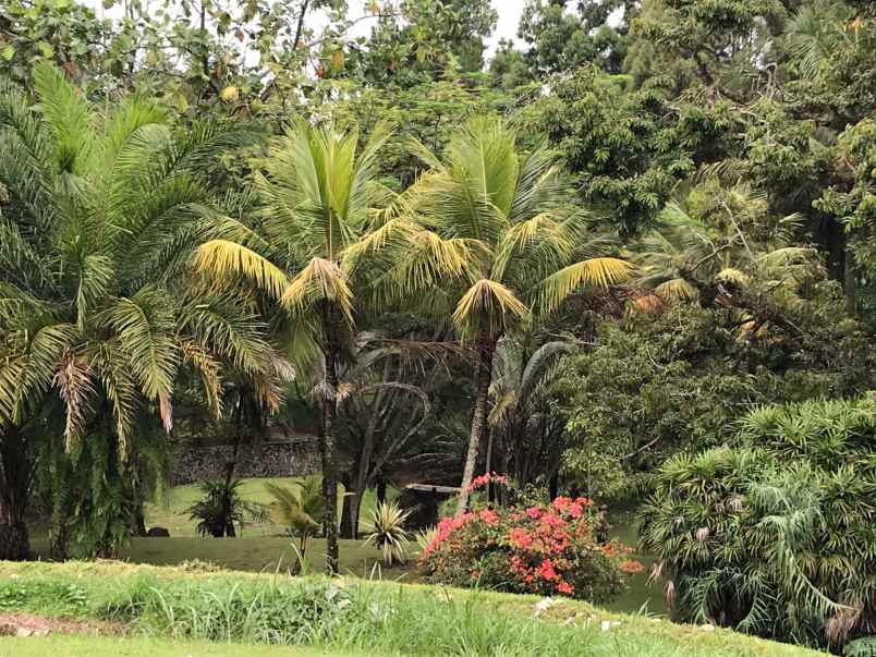 tanah komersial ex hotel di jl raya puncak bogor