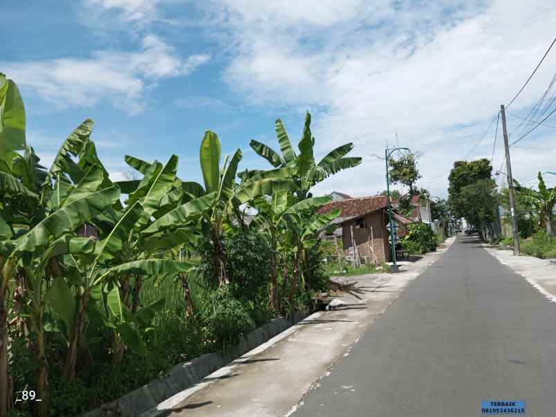 tanah murah jogja dekat kampus ugm di jalan damai