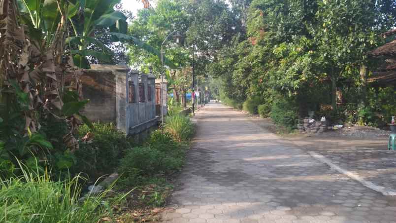 tanah sawah murah strategis cebongan sleman jogja