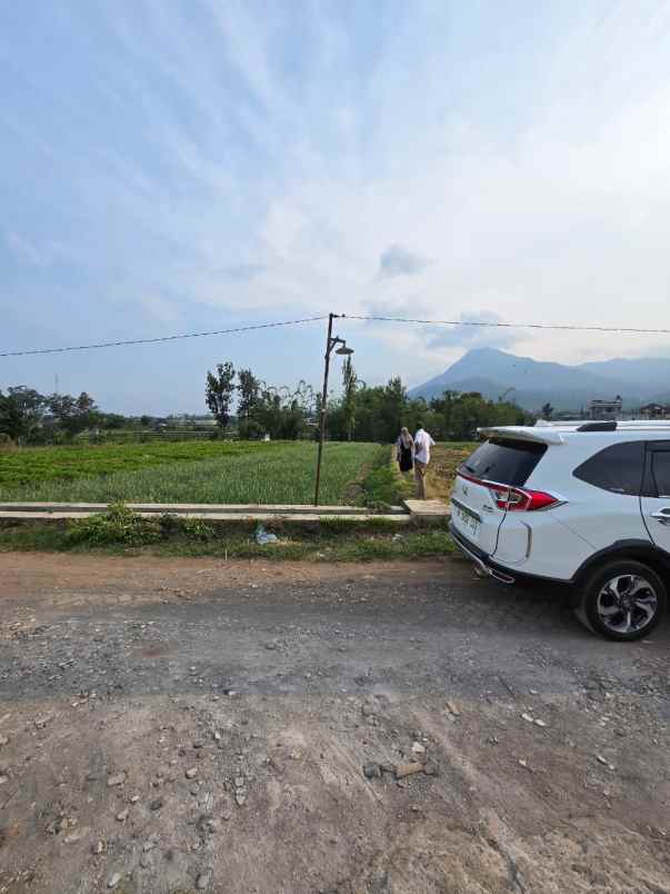 tanah sawah subur harga istimewa di ngaglik kota batu