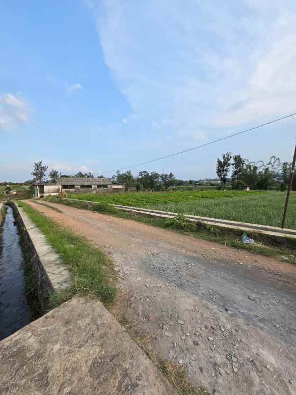 tanah sawah subur harga istimewa di ngaglik kota batu