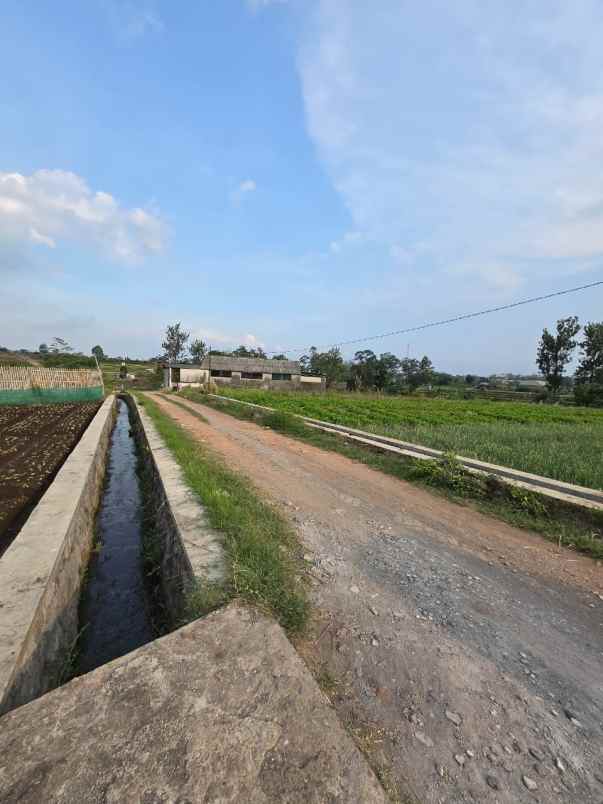 tanah sawah subur harga istimewa di ngaglik kota batu