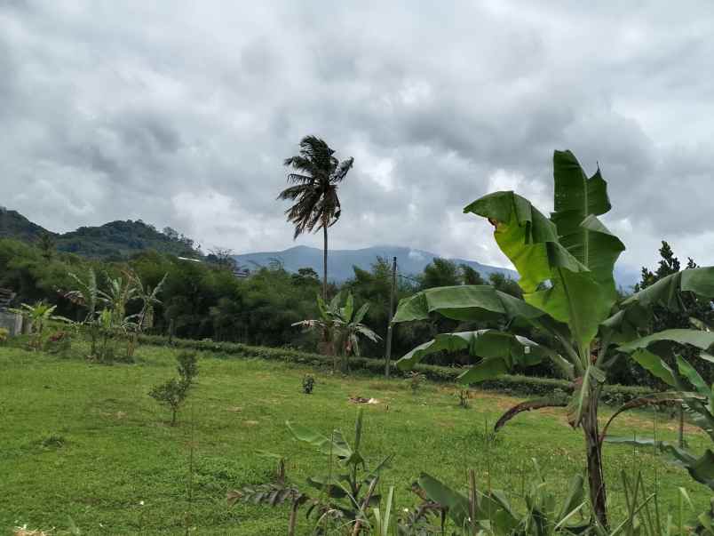 tanah strategis dekat wisata ciater subang