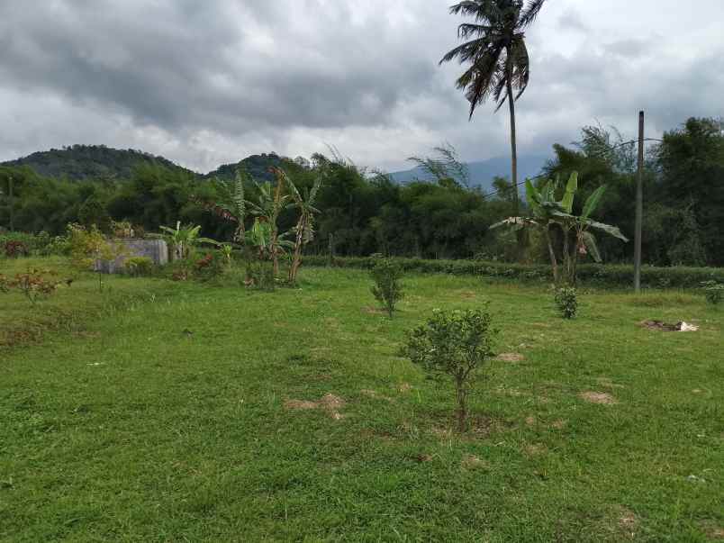 tanah strategis dekat wisata ciater subang