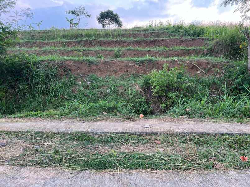 tanah subur 1209m karangpandan karanganyar