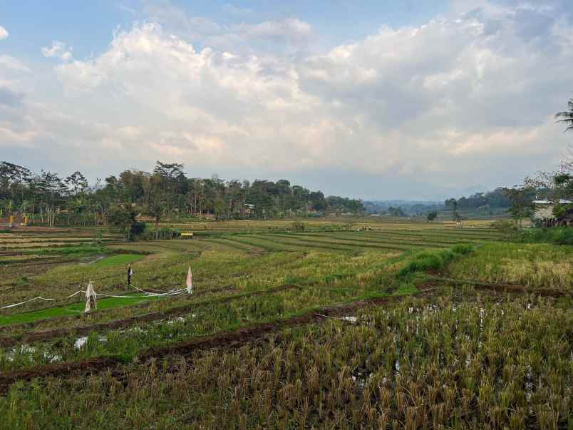 tanah subur 1209m karangpandan karanganyar