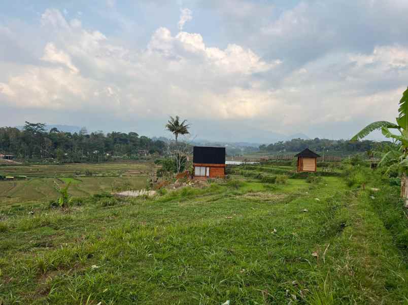 tanah subur 1209m karangpandan karanganyar