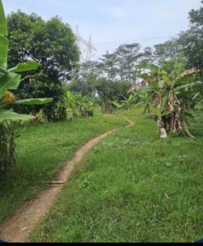 tanah tegal perkotaan besar