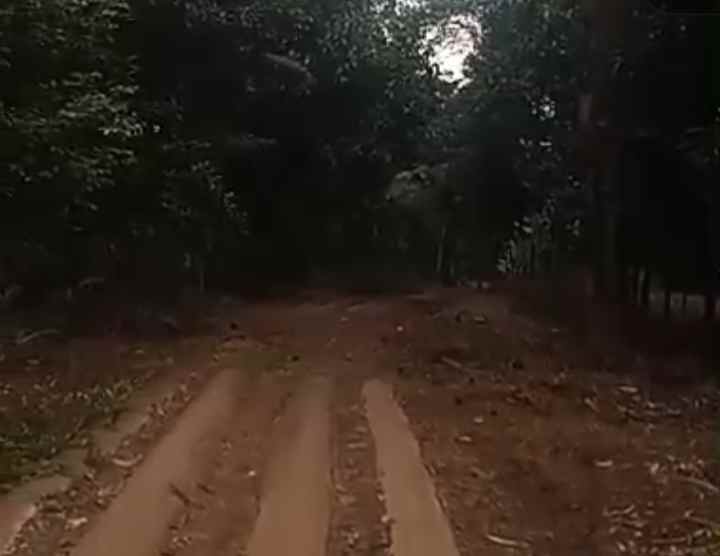 tanah untuk zona peternakan subang jawa barat