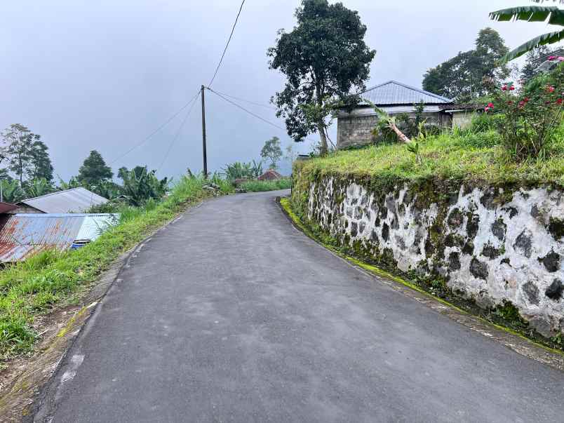 tanah view kebun teh dekat telaga madirda ngargoyoso