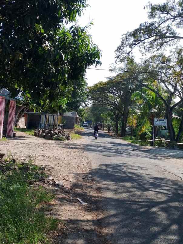 tanah view sawah murah di kasemen kota serang
