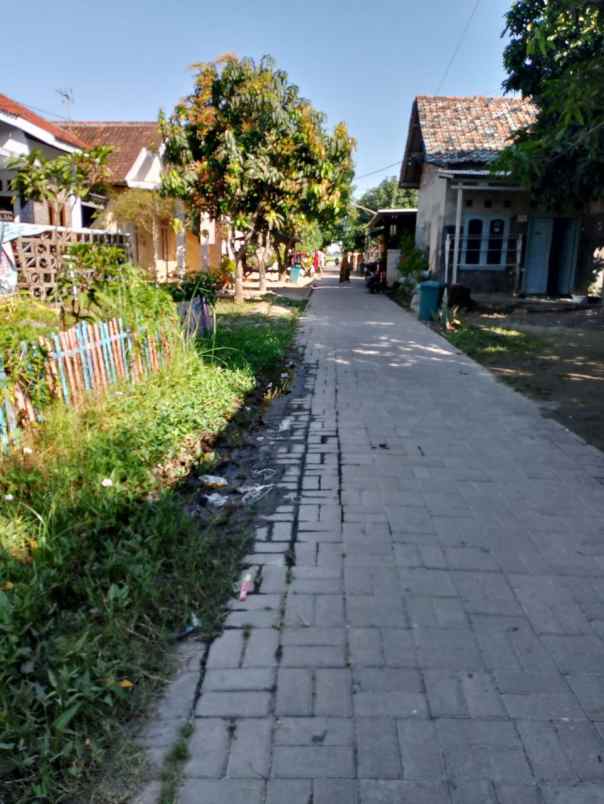 tanah view sawah murah di kasemen kota serang