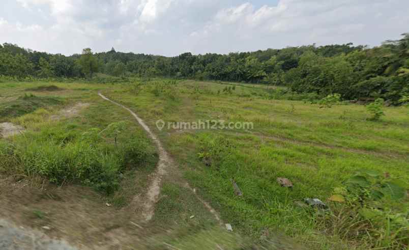 90 jt an pekarangan dekat rsud nyi ageng serang