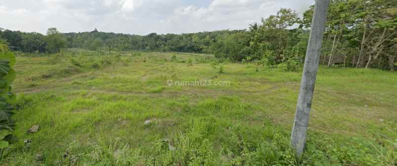 90 jt an pekarangan dekat rsud nyi ageng serang