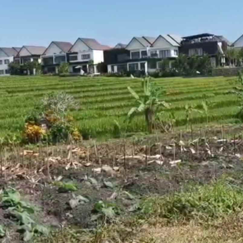 dijual 2 are jl kaba kaba kediri tabanan