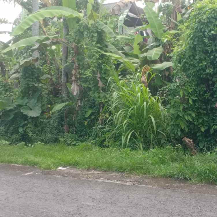 dijual 2 are jl kaba kaba kediri tabanan