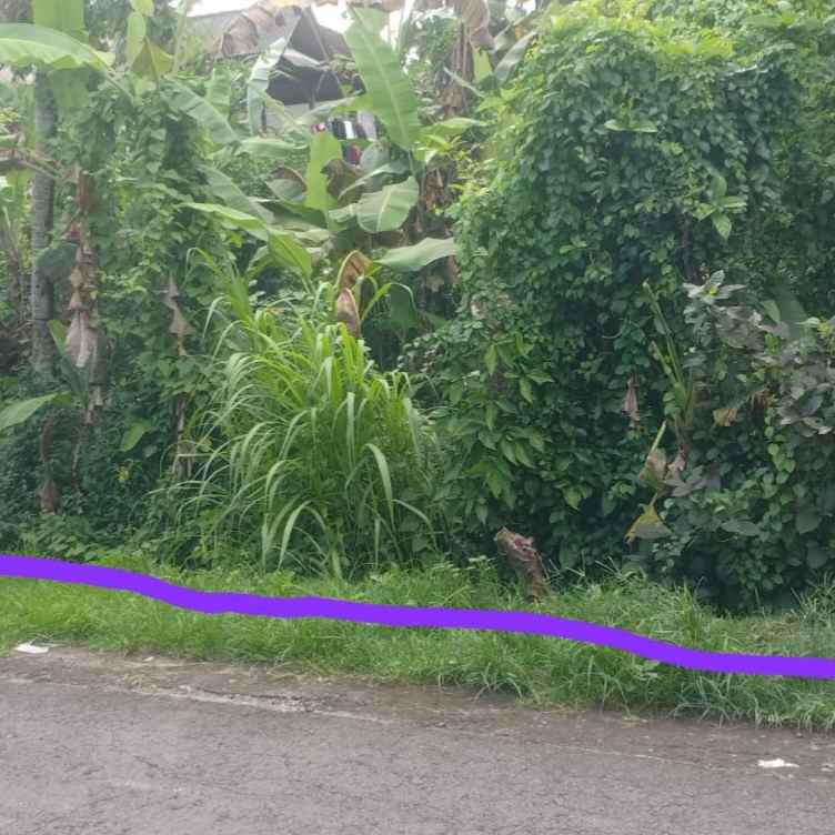 dijual 2 are jl kaba kaba kediri tabanan