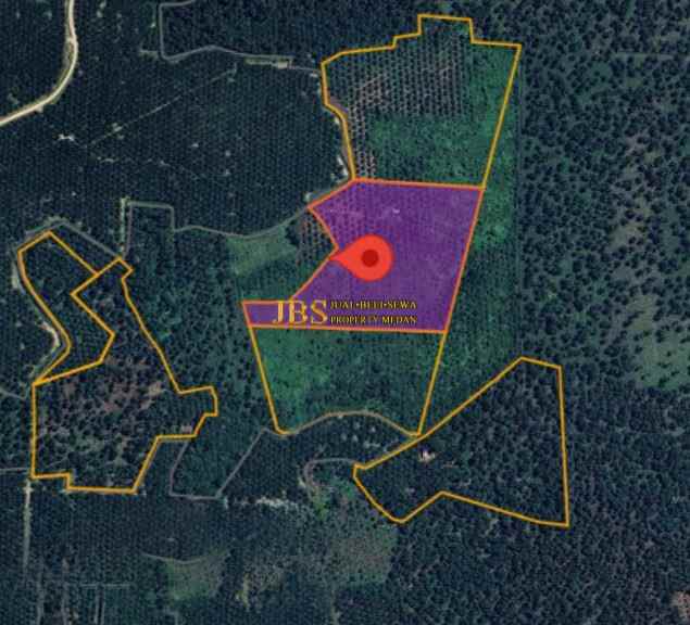 dijual kebun sawit daerah gohor lama langkat