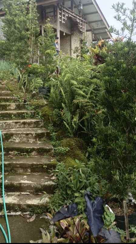 dijual lokasi tanah di cidokom puncak