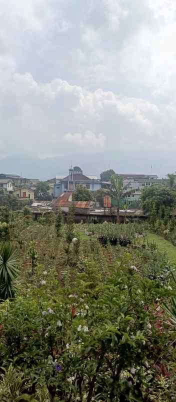 dijual lokasi tanah di cidokom puncak
