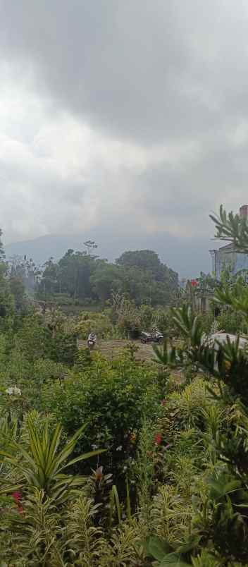 dijual lokasi tanah di cidokom puncak