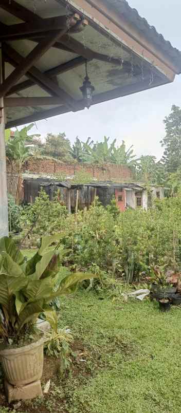 dijual lokasi tanah di cidokom puncak