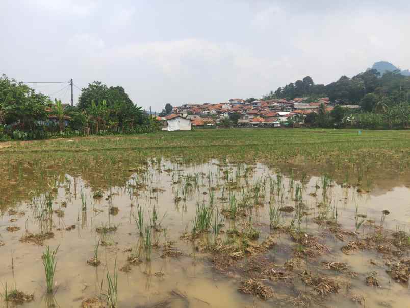 dijual murah tanah 3 2 hektar shm