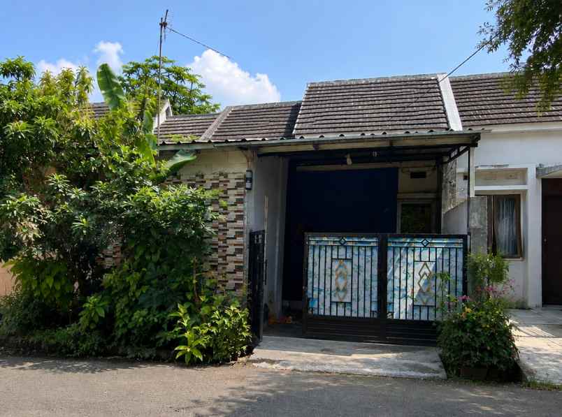 dijual rumah ciampea bogor