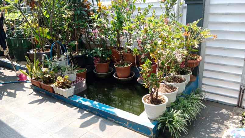 dijual rumah cigadung raya syp dago bandung