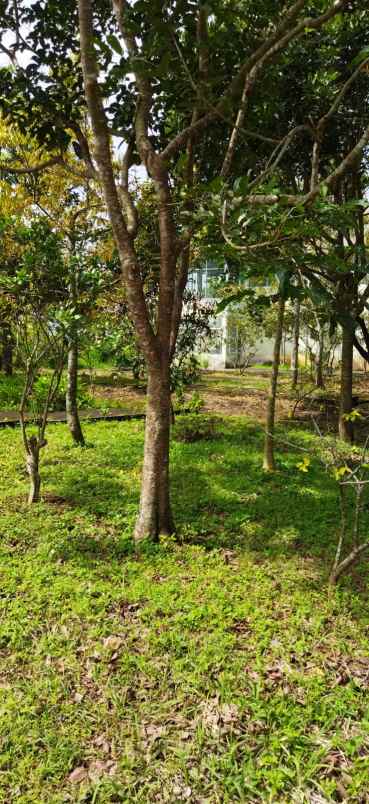 dijual rumah dusun dengel binangun