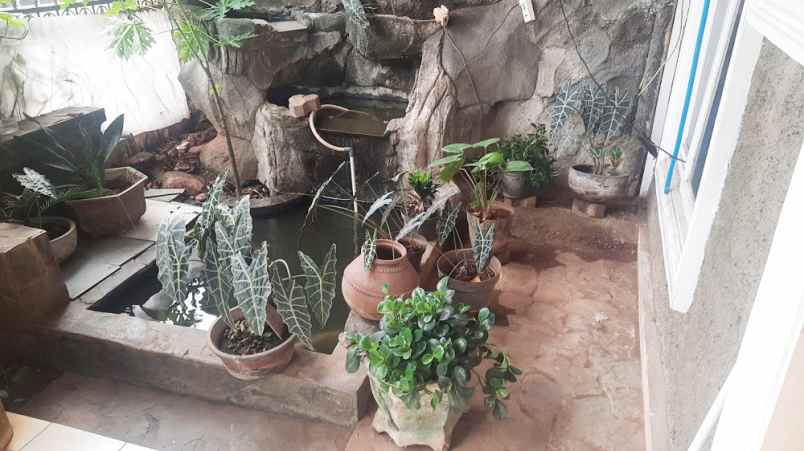 dijual rumah jl cendrawasih v blok d 16