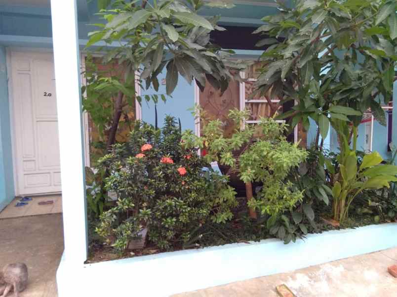 dijual rumah jln kalilicin pancoran mas