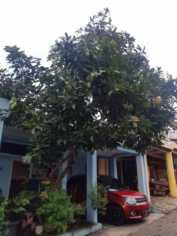 dijual rumah jln kalilicin pancoran mas