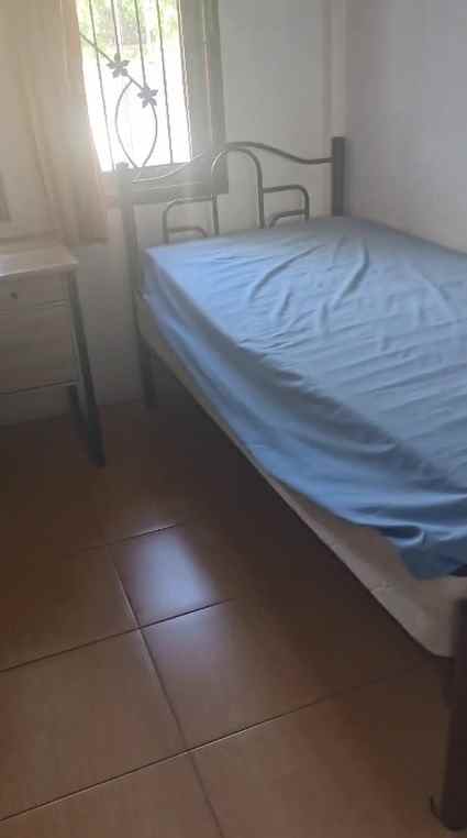 dijual rumah kelapa puyuh kelapa gading