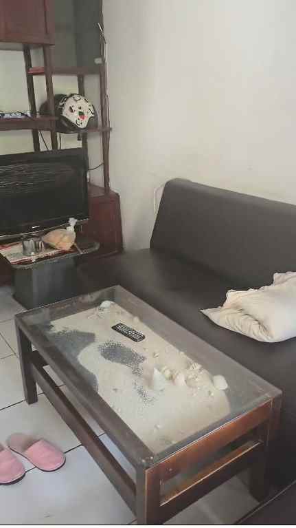 dijual rumah kelapa puyuh kelapa gading