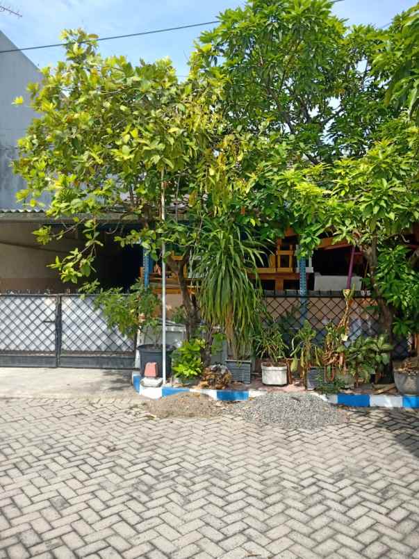 dijual rumah pandugo baru