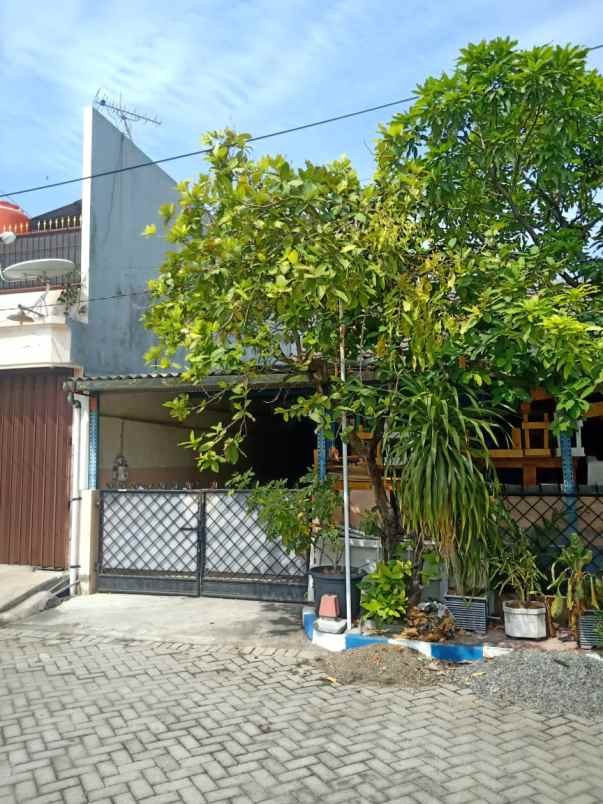 dijual rumah pandugo baru