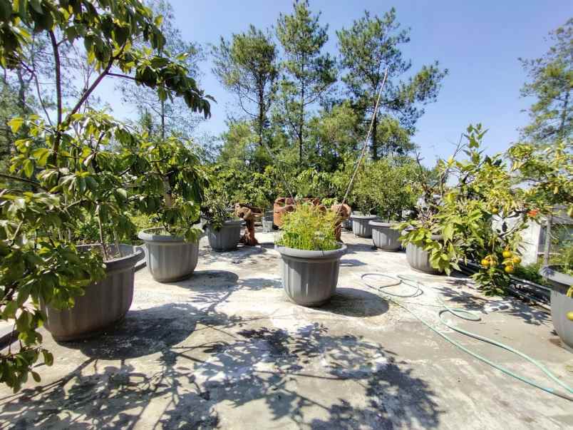 dijual rumah perumahan pondok hijau