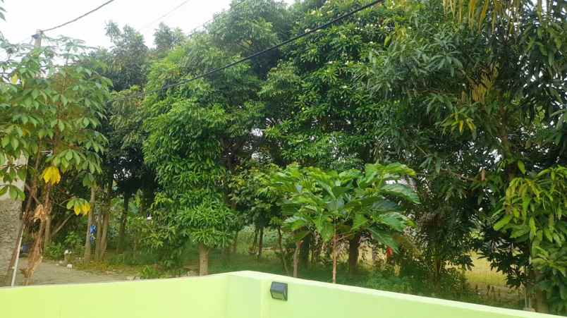 dijual rumah perumahan taman raya rajeg