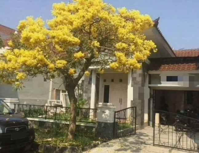 dijual rumah purimas regency jimbaran