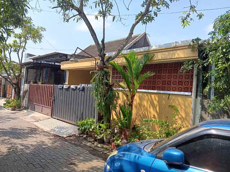 dijual rumah tembalang