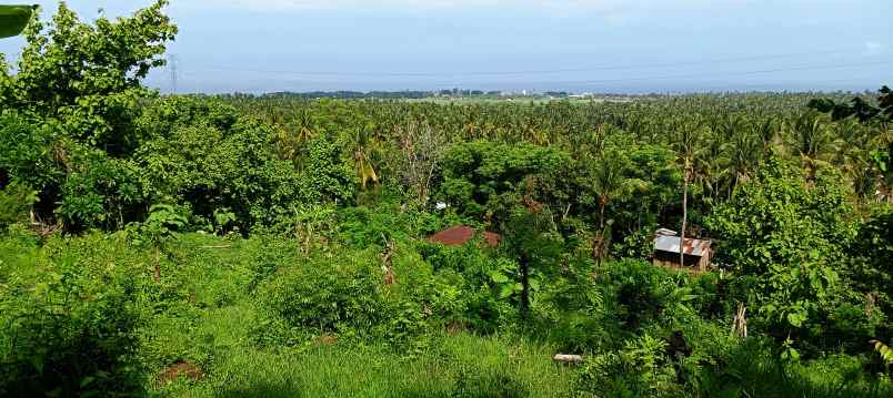 dijual sebidang tanah di lovina dgn vew laut