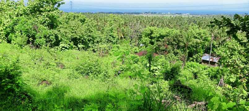 dijual sebidang tanah di lovina dgn vew laut