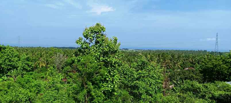 dijual sebidang tanah di lovina dgn vew laut