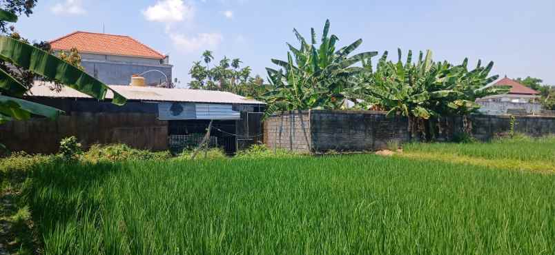 dijual tanah abianbase mengwi badung bali