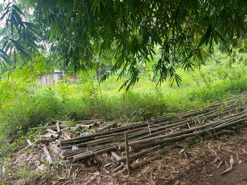 dijual tanah ajb luas 211 di parung panjang bogor